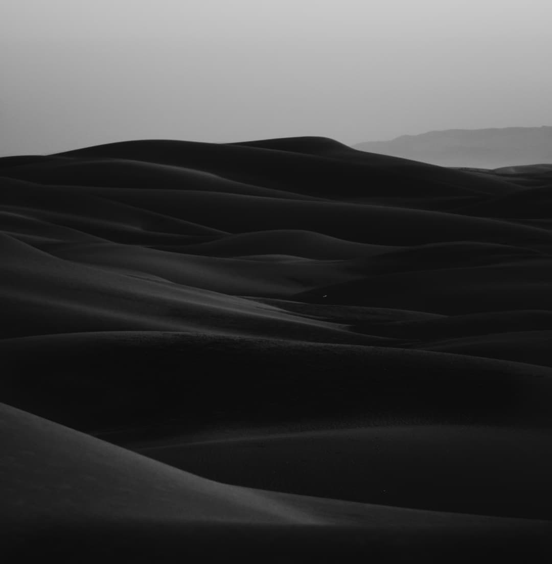 Mesquite CyberSecurity field team